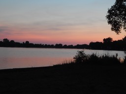 DSCN4003