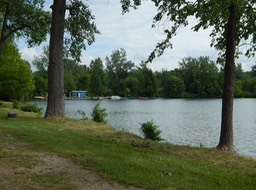 DSCN4222